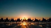 Египет Тур путевки AkAsTravel