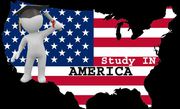 Визы в США В1–В2,  Н1